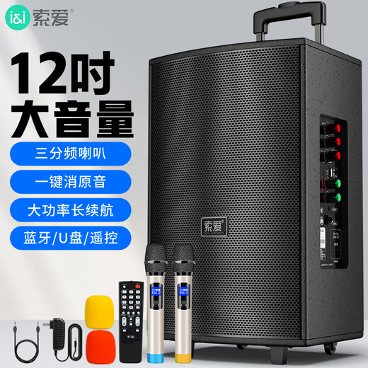 Sony Ericsson (soaiy) 12-inch square dance audio wooden high-power portable outdoor heavy bass Bluetooth karaoke special high-volume mobile trolley speaker outdoor performance dual microphone SA-X22