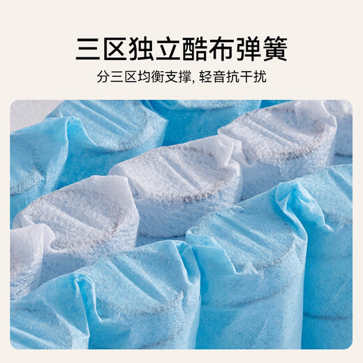 林芃家品林芃云宿Pro独立弹簧床垫席梦思家用20cm厚护脊山棕硬垫国家补贴 云宿Pro（厚度20cm） 1350*2000