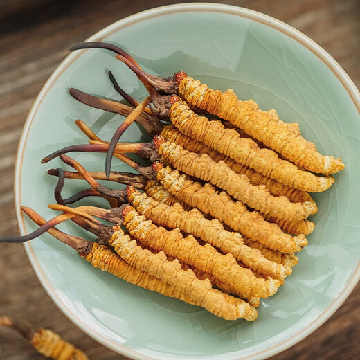 Cordyceps Dried Goods Authentic Cordyceps Gift Box Cordyceps Wangxiong Fengdao Nourishing and Healthy Cordyceps Three Roots One Gram 100 Roots Boxed