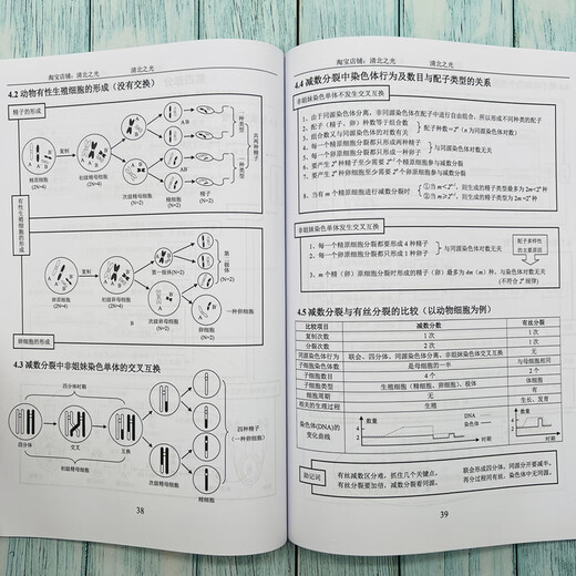 Examen de ingreso de la escuela secundaria Mapa mental de conocimiento de conocimiento de biología Fácil de cometer errores fácilmente y fácilmente se pierda la colección de Hengshui Academic Masters in College Incalance Examination Biology Knowledge Network +724 Fácil de cometer errores