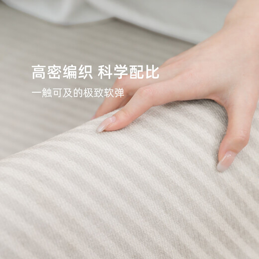 臣祥地毯客厅2025新款免洗可擦轻奢高级爬爬垫感厚津 清蔷-13566 240cm*400cm定制