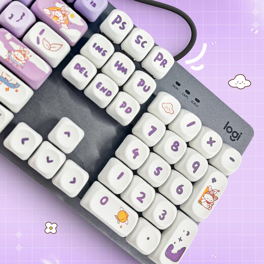 罗技（Logitech）K845机械键盘背光有线键盘 游戏电竞键盘 茶青红轴键盘DIY键帽 办公游戏键鼠套装 全尺寸104键盘 K845-紫色渐变兔键帽 红轴