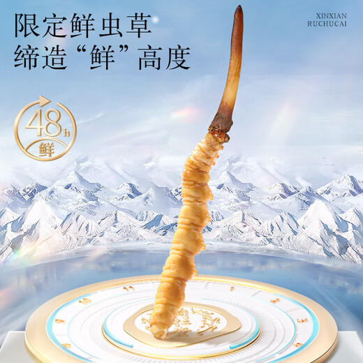Tongrentang Brand Beijing Tongrentang Fresh Cordyceps Cordyceps Fresh Cordyceps Boîte cadeau Unbreakable Grass Cadeaux aux anciens 1 boîte 81G 3A Cordyceps frais 100 0,8-1g / pièce / pièce