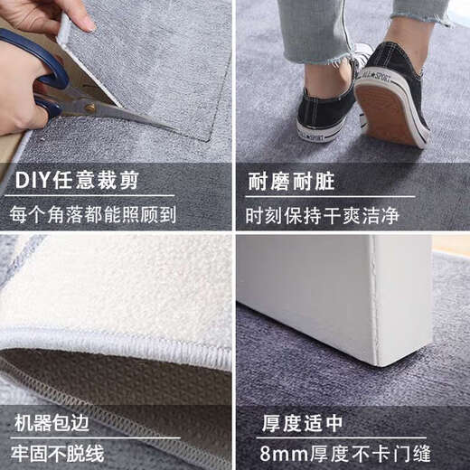 恩宝乐入户门地垫进门地毯进户大门口门垫轻奢高端感玄关脚垫可裁剪 1049 1件数 50CM宽X80CM长