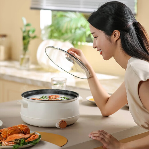Xiaomi Baby Electric Cooking Pot Dormitory Student Pot Small Electric Pot Instant Noodle Pot Electric Wok One-in-One Multi-Function Household Small Pot Electric Hot Pot 22cm Light Luxury White 2.5L