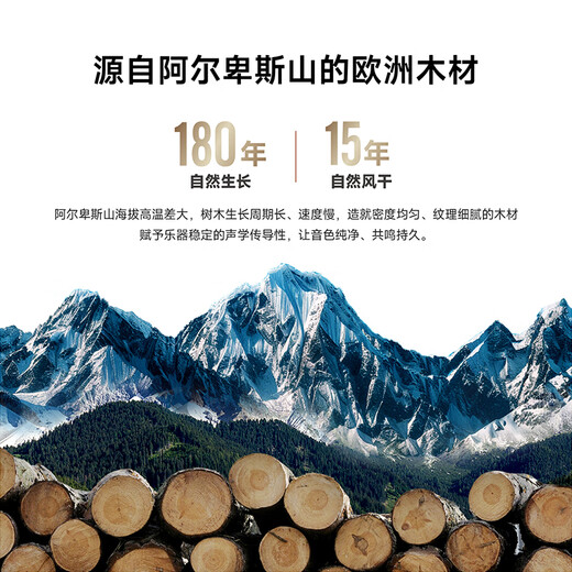 菲妮克斯(PHOENIX ）手工儿童小提琴初学者儿童考级入门成人初学练习 MVA301E入门级小提琴 3/4身高140-150CM适用