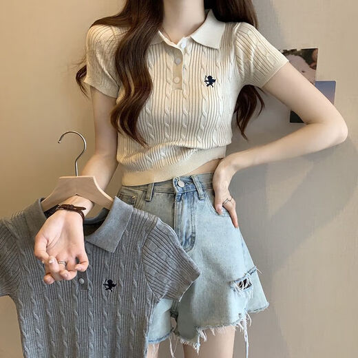 Clothes with original texture design 2026 new spring fashion polo collar knitted shirt short-sleeved t-shirt women's short tops apricot one size apricot (70-120Jin Jin equals 0.5kg)