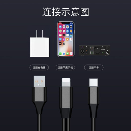 TOPPING live broadcast otg sound card cable suitable for Apple to typec Android mobile phone charging audio recording data cable black Apple OTG cable 1.5 meters ALC1515