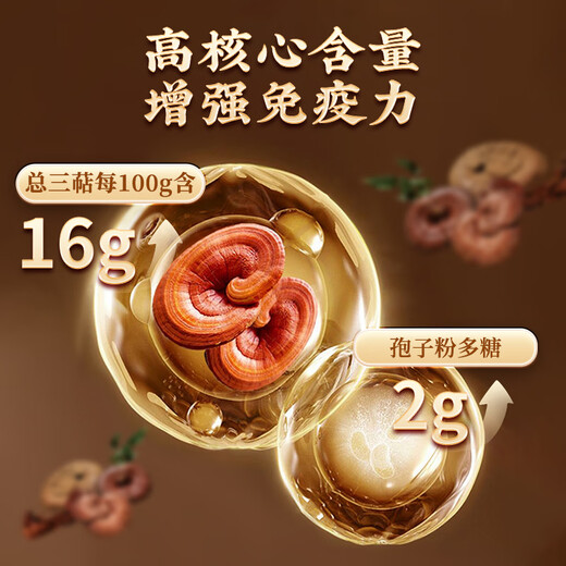甘伯宗破壁灵芝孢子粉增强免疫力有机认证正品保障 14盒装【买12赠2/巩固超值套餐】