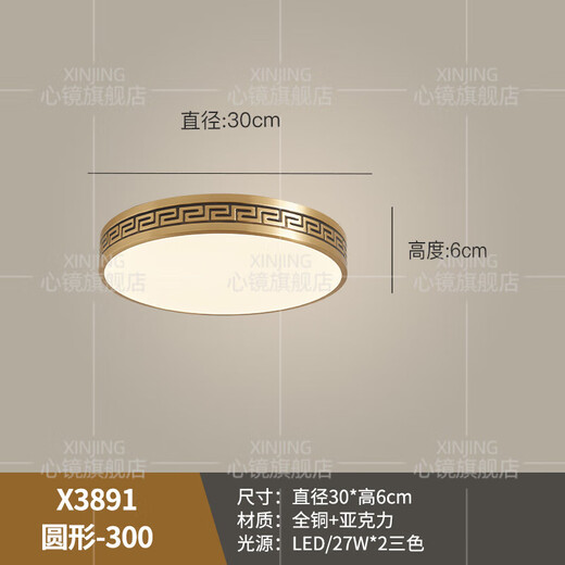 心镜全铜吸顶灯别墅入户灯室外防水阳台灯庭院过道走廊超薄防蚊虫顶灯 X3891-300/方形