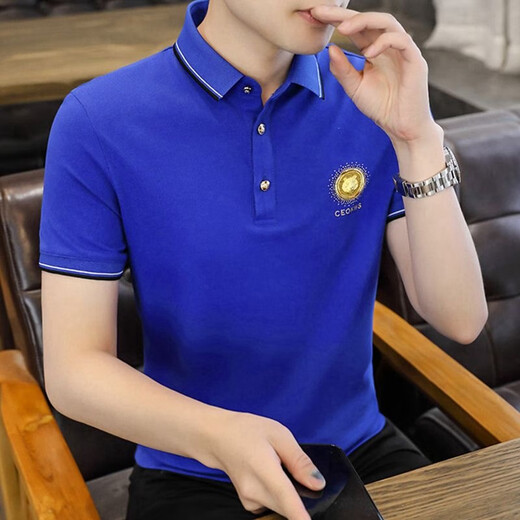 FJLT轻奢高档品牌polo衫男士T恤夏季新款时尚短袖翻领商务透气上衣 F6628（白色） XL (建议130-145斤)