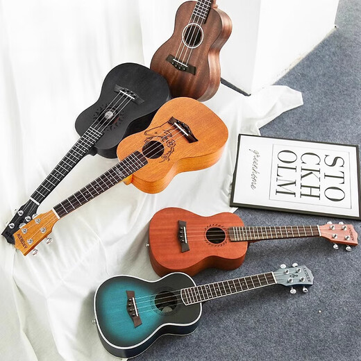Er Jiagong Ukulele-Anfänger und Anfänger für die Einführung von Mädchen Vancouver 23-Zoll-Kleingitarren-Kindertag jagen Träume + Accessoires + Tuner + Baumwolltasche 23 Zoll