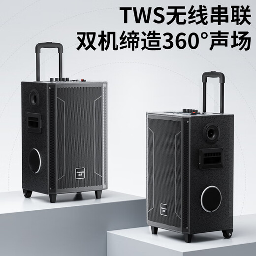 Newmine N537 12-inch Square Dance Bluetooth Speaker High Power Outdoor Mobile Portable Trolley Home Karaoke Large Volume Wireless Speaker Super Long Battery Life Dual Microphone 13 Speakers