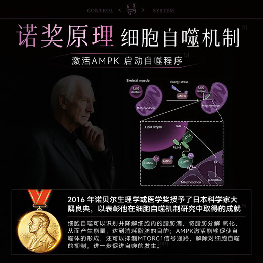 JSAWELL [Nobel Principle] 7 patented models, body slimming bottle with weight loss, belly fat burning, body fast and thin genuine products