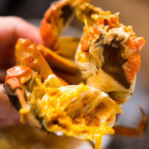 Live crabs, freshly picked from Beijing, fresh hairy crabs, male crabs 4.8 taels, female crabs 3.8 taels, 4 pairs of 8 pieces, full weight, crab gift box sent directly from the source