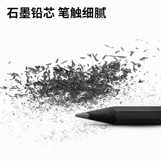 得力（deli）纽赛黑木石墨书写铅笔六角笔杆考试美术专用儿童练字写字铅笔 黑色 纽赛NS723-2B(30支/盒)