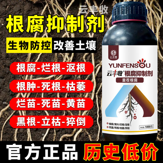Yunfeng Harvest Root Rot Inhibitor Root Rot Nemesis Yellow Leaf Rot Root Damping-Down Dead Tree Stem Base Rot Strong Root Activation Soil Factory Direct Sales 2 Bottles * 2000g + Measuring Cup + Get 10% off for fake ones