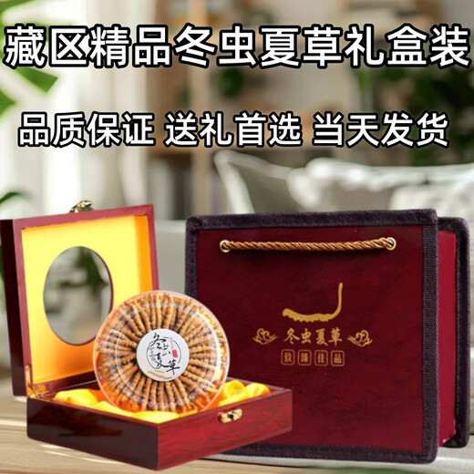 Luzhangtang Cordyceps gift box is packed with authentic Tibetan snow mountain Cordyceps gifts quality guaranteed to ship on the same day. Tibet Naqu fine cordyceps 2 pieces 1 gram 20 pieces