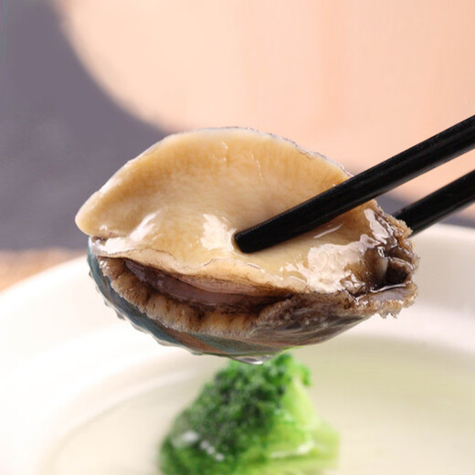 Twisted Abalone 1 fresh small abalone (22-28 heads/500g)