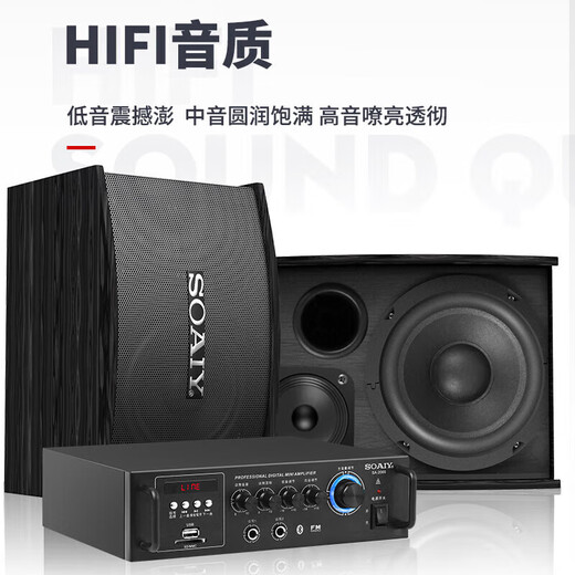 索爱（soaiy） 家庭影院KTV音响套装10英寸家用商用会议舞蹈室设备卡拉ok蓝牙功放 5.5英寸音响套装+双话筒