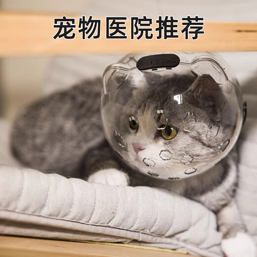 Zhi Xiangguo Cat Hood Cat Elizabeth Circle Dog Anti-Bite Space Hood Bathing Nail Clippers Anti-Scratch Anti-Licking Pet Artifact Cat Space Hood (10-15 Jin Jin equals 0.5 kg can be used)