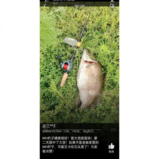 Buguilile pas mandarin Lure Rod 25 Horse Lance Competition Super Fast Tone GT Mandarin Fish Black Pit Perch 25 Horse Lance Competition / Gun Gunche C682MH