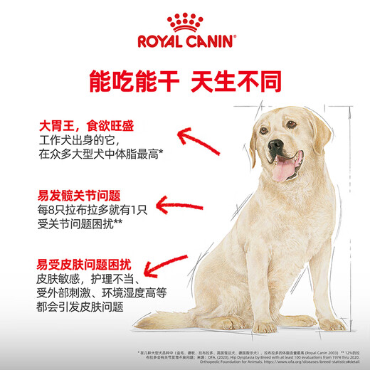 Royal Dog Food Labrador Adult Dog Food Dog Food Pet Large Dog LR30 Full Price Dog Food 15 3KG