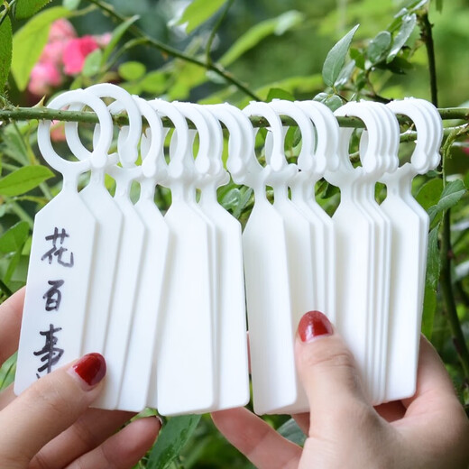 Gardening label insert tag waterproof ring buckle plant listing identification card plastic thickened succulent small label tool 20 white hanging labels