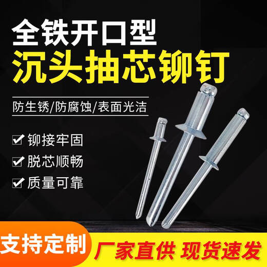 YUSENYI Full Fer Opening Type CounterSunk Head Core Pulling Rivet Iron Cap Core 30 Niveau 2GB12617.2 Diamètre 2.4-4.0 6.0 * 12250 Pièces / boîte