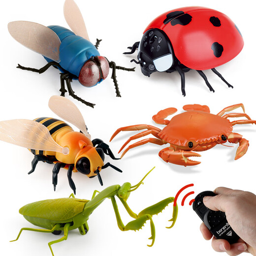 
Original direct supply of novel and unique infrared remote control electric insect toys electric snail and mouse prank 9923 bee 129G weight 0.29kg