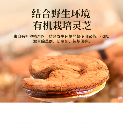 Bio-Ganoderma lucidum spore powder zhongzhilin organoderma lucidum spore pulver bricht Erschwingliche sechs Kisten Ganoderma lucidum sporenpulver