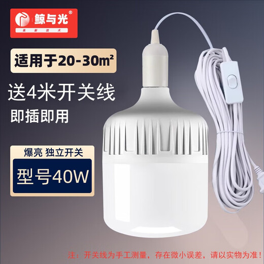 Whale and Light LED energy-saving light bulb with plug household plug-in e27 socket lamp with switch wire super bright hanging small wall lamp 4 meters wire