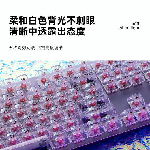 罗技K845有线机械键盘透明键帽打字电脑办公青红茶轴电竞游戏 K845-霜冻之蓝(键帽独立包装)- TTC-青轴 否 104键 官方标配