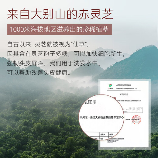 
JD.com specializes in the research of plant-based red Ganoderma lucidum hydrated anti-dandruff shampoo anti-it-control oil fluffy shampoo 500ml