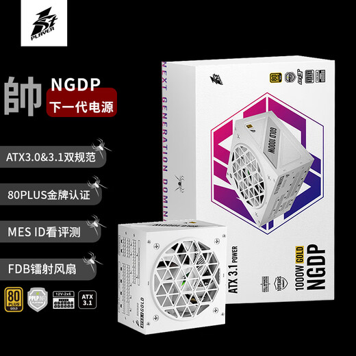 首席玩家（1st player）NGDP金牌 1000W电源（ATX3.0&3.1双规范/MES ID/压纹线/FDB风扇/支持5090/白色）