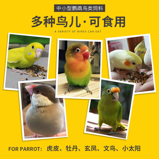 Geledor small and medium-sized black phoenix and peony parrot bird food, daily general calcium supplement, nutritious bird food, mixed seed grain, 1200ml barrel (full price food)