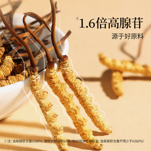 同仁堂品牌冬虫夏草约4根/g5g约20根年虫草礼盒高端送人父母北京同仁堂