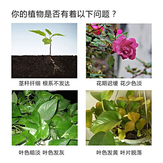 Phosphate fertilizer, superphosphate fertilizer for growing vegetables and flowers, fertilizer for fruit trees, flowers and agricultural crops, general flower-stimulating calcium phosphate fertilizer, 50 Jin Jin is equal to 0.5 kg (can be shipped in whole package)