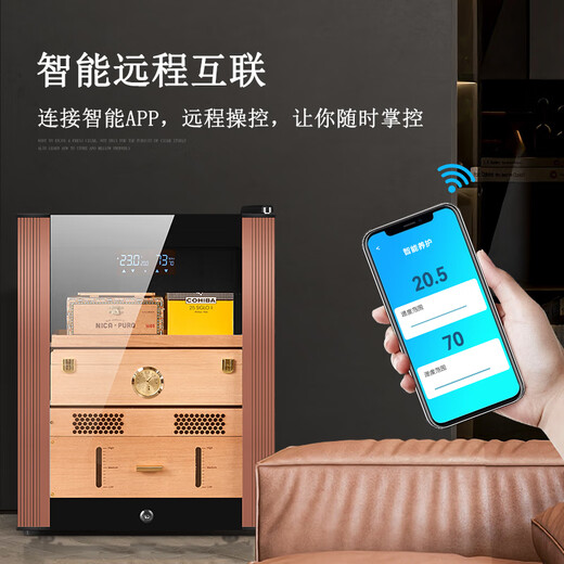 Double temperature control and humidity control cigar cabinet with constant temperature and humidity household ammonia removal and eggplant moisturizing cabinet A70/740MM high/rose gold stainless steel door with lock