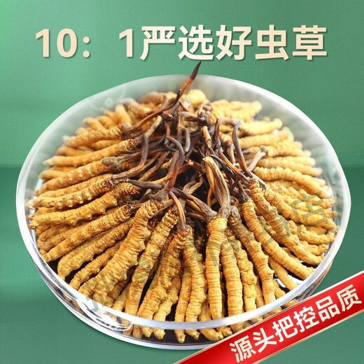 Beijing Tongrentang Quality Tibet Direct Faquenna Cordyceps High-altitude Cordyceps Warm Dry Goods 100g Gift Box 5g Canned