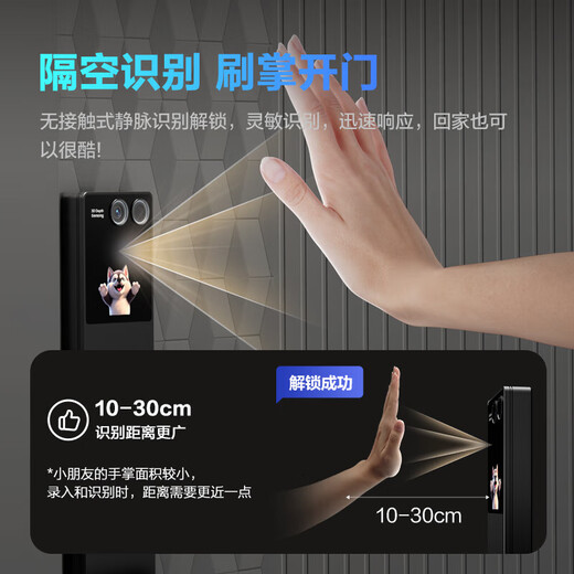 萤石智能门锁 AI智能体双摄掌静脉3D人脸识别可视大屏指纹密码锁 C级锁芯防盗门电子锁 Y5000FVX【双摄双屏双锂电+刷脸刷掌开门】 霸王锁体