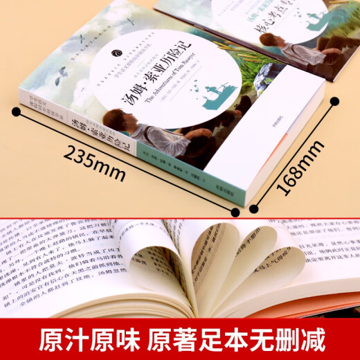 汤姆索亚历险记 原著正版六年级完整版小学版必读课外书人民6年级青少年初中生课外阅读书籍文学开明出版社 829页红楼梦送考点手册