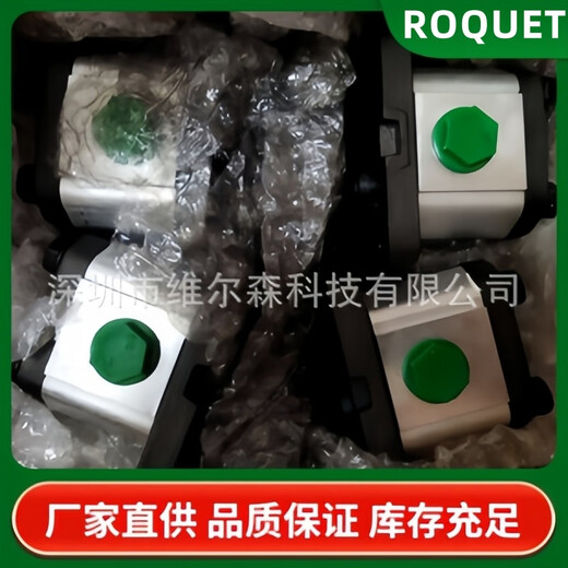 泰力齿轮泵1PLK15054DE10 Roquet