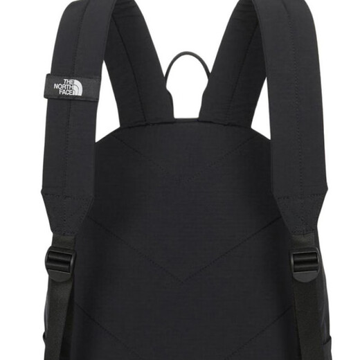 北面（The North Face）30L休闲Logo徽标贴片拉链开合尼龙双肩包常规男女同款情侣款黑色 黑色