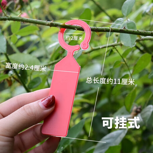 Gardening label insert tag waterproof ring buckle plant listing identification card plastic thickened succulent small label tool 20 white hanging labels