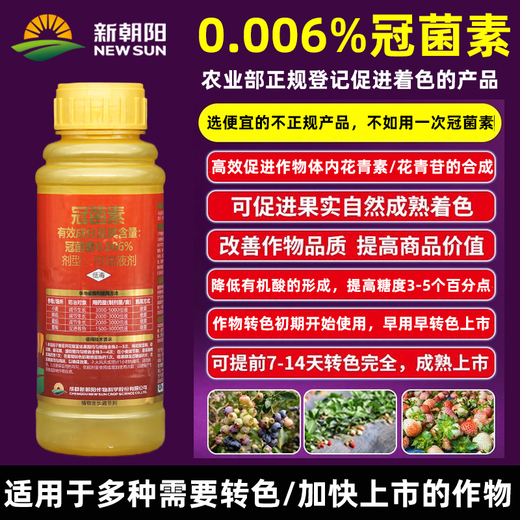 New Chaoyang Golden Crown Coronasporin Dihydropropyl Jasmonate Sweet Crown Combination to Sweeten and Color-Transform Winter Dates and Bayberry Grapes Color-Transfer Set 500ml+1L *1 Set