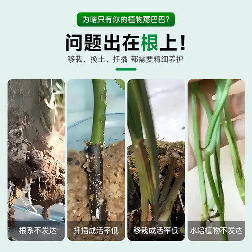 Guoguang Root Promoting Rapid Rooting Liquid Powder Seedlings Flower Cuttings Transplanting Indotenyl Acetic Acid Guoguang Genpan 200ml*20 Bottles