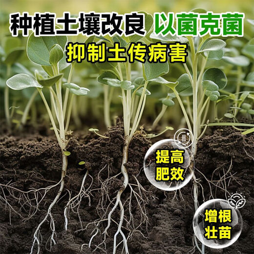 Anxiaoran microbial inoculants and fertilizers promote seedlings, strengthen roots, prevent diseases and increase yields in sugar cane and rice farmland. Genuine. 1 bottle*120ml bottle. Expensive in shipping costs.