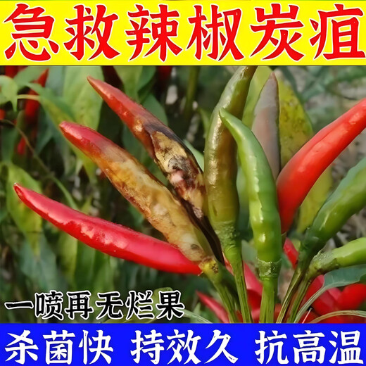 Zhonggu Nongkang (ZGNK) pepper special fungicide, agricultural disinfection and sterilization virus, anthrax disease, rolled leaf dead seedlings, rotten roots and rot fungicides, pepper pathogen cleaner 8 bags, the first choice for large growers