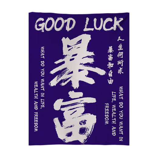 溥畔网红打卡户外露营氛围感装饰布卧室餐厅高级背景布墙布毛笔字挂布 4877-喜乐02 【四角打孔】120高*90宽厘米  +